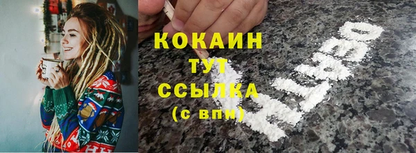 винт Няндома