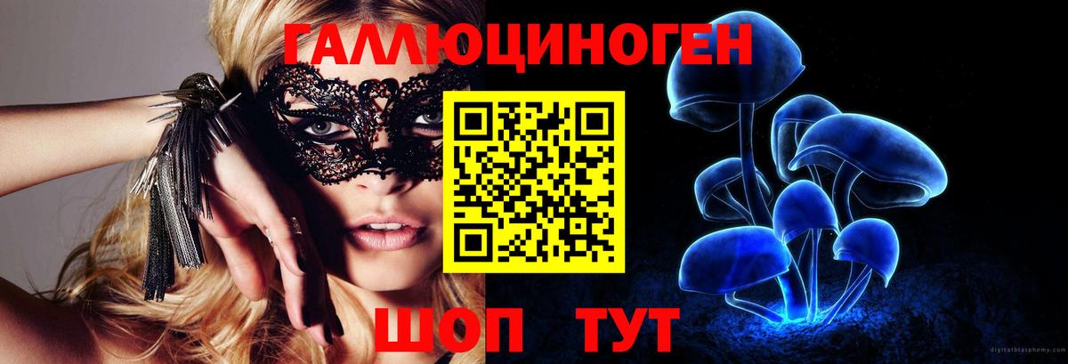 Псилоцибиновые грибы ЛСД  Вход с VPN  Тайшет  Галлюциногенные грибы Magic Shrooms 